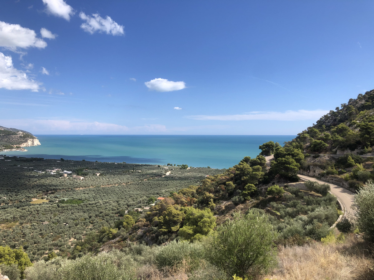 Picture Italy Gargano 2024-09 34 - Rain Season Gargano