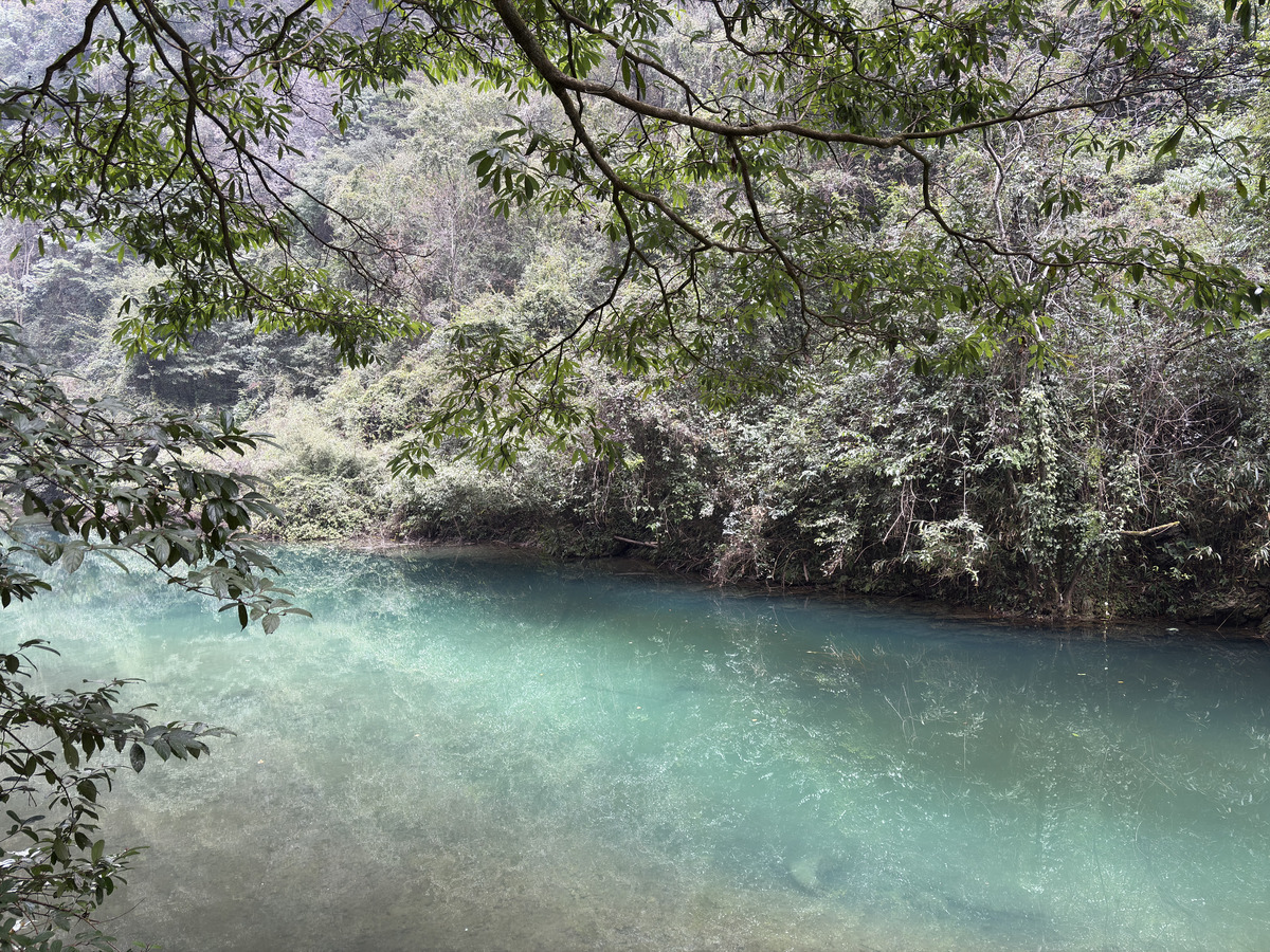 Picture China Zhangjiajie Grand Canion 2026-01 25 - Waterfall Grand Canion