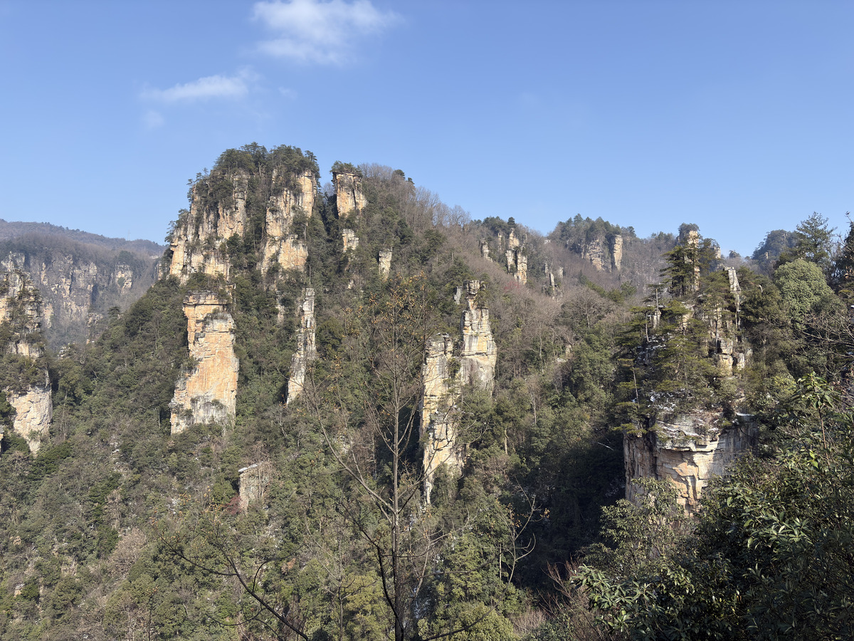 Picture China Zhangjiajie Tianzi Mountrain 2026-01 363 - Price Tianzi Mountrain