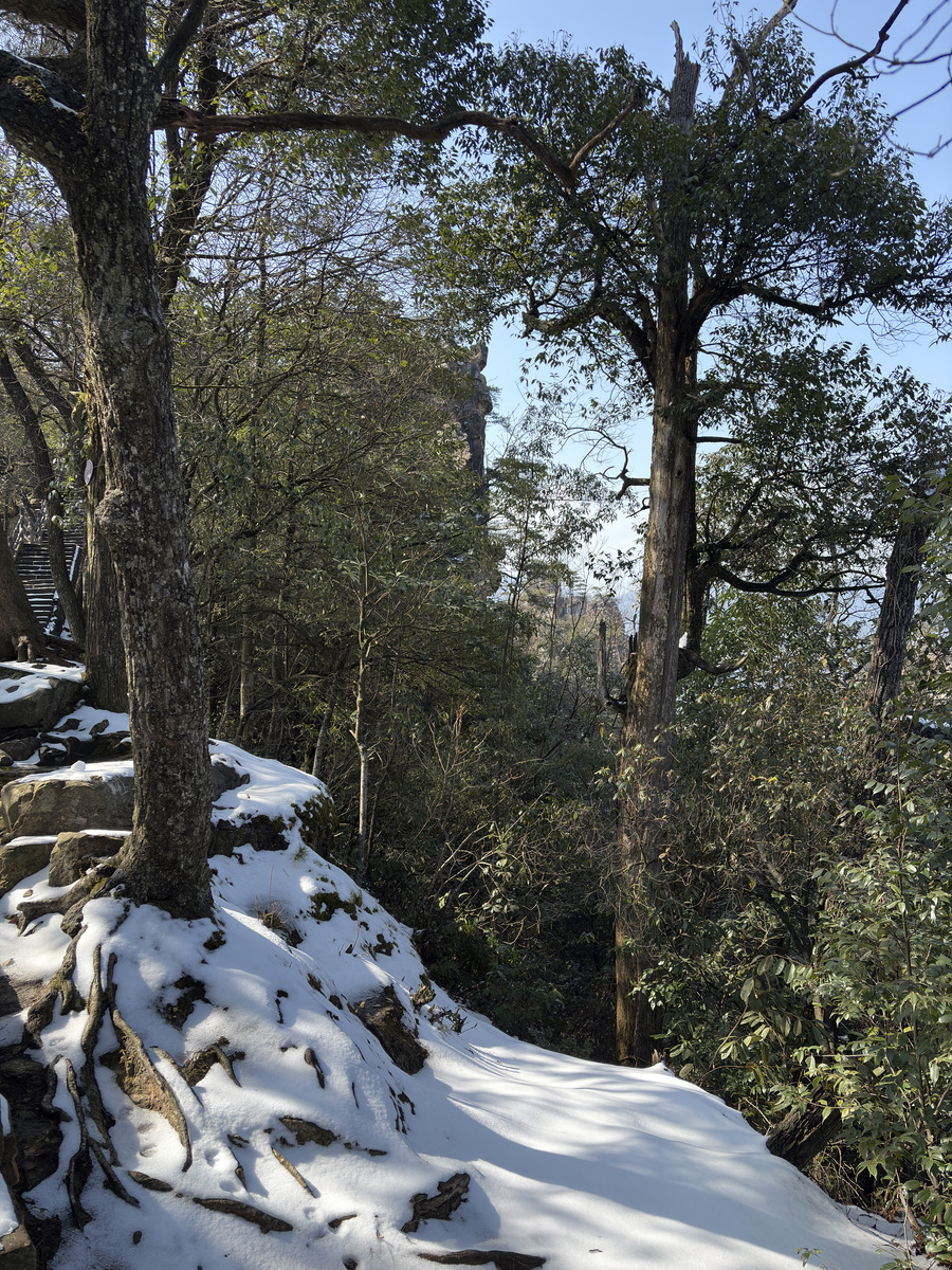 Picture China Zhangjiajie Tianzi Mountrain 2026-01 30 - Spring Tianzi Mountrain