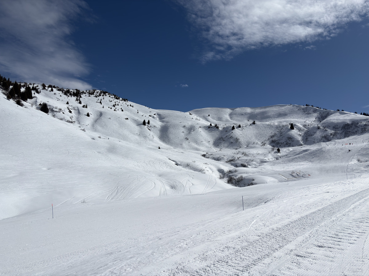 Picture France Praz sur Arly 2025-02 67