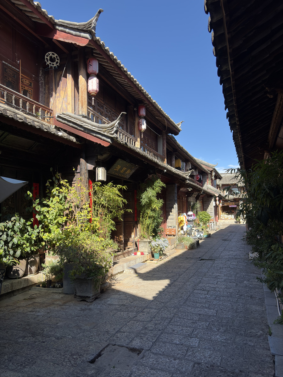 Picture China Lijiang 2026-01 1 - City Sights Lijiang