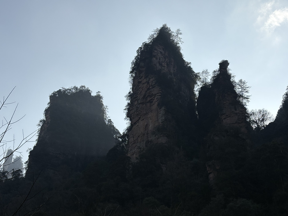 Picture China Zhangjiajie Tianzi Mountrain 2026-01 423 - Savings Tianzi Mountrain