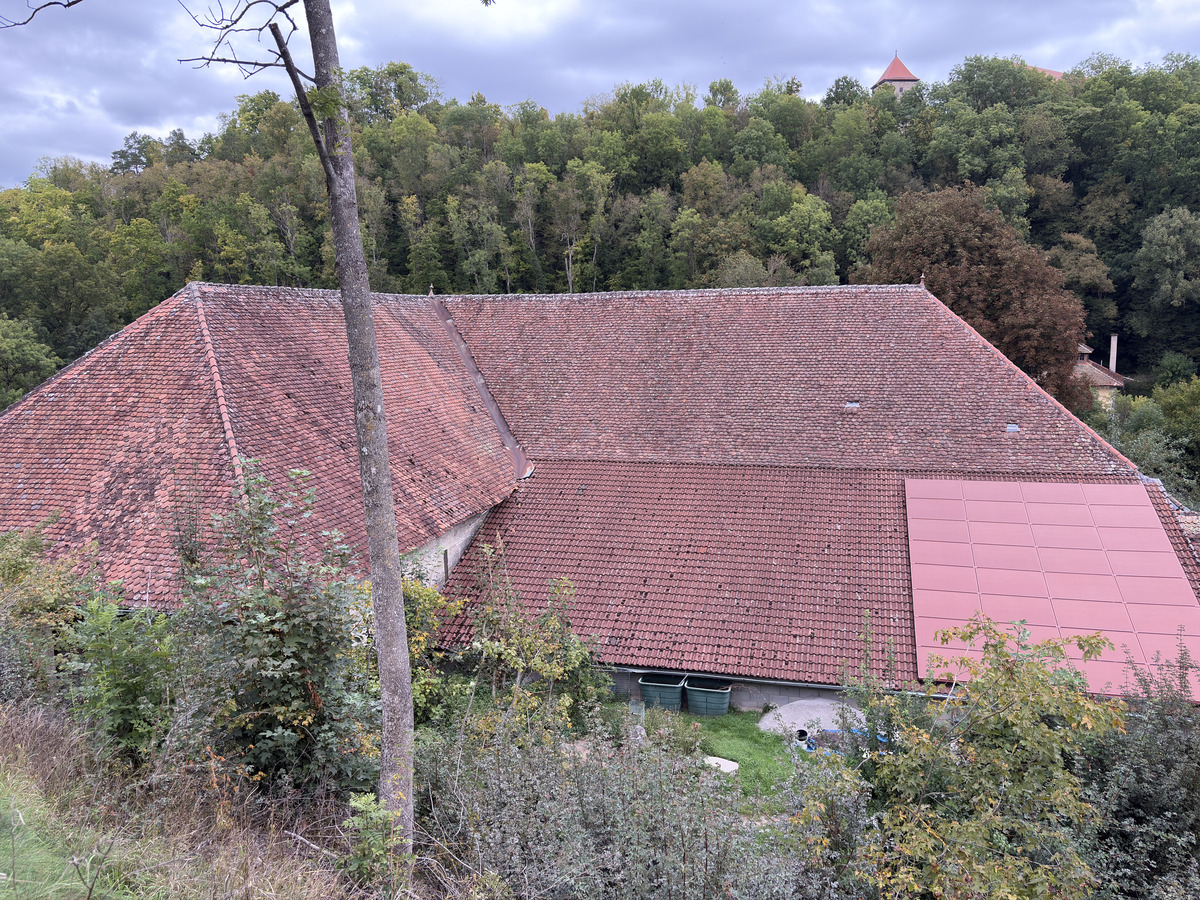 Picture Germany Rothenburg ob der Tauber⁩ 2025-09 147 - Price Rothenburg ob der Tauber⁩