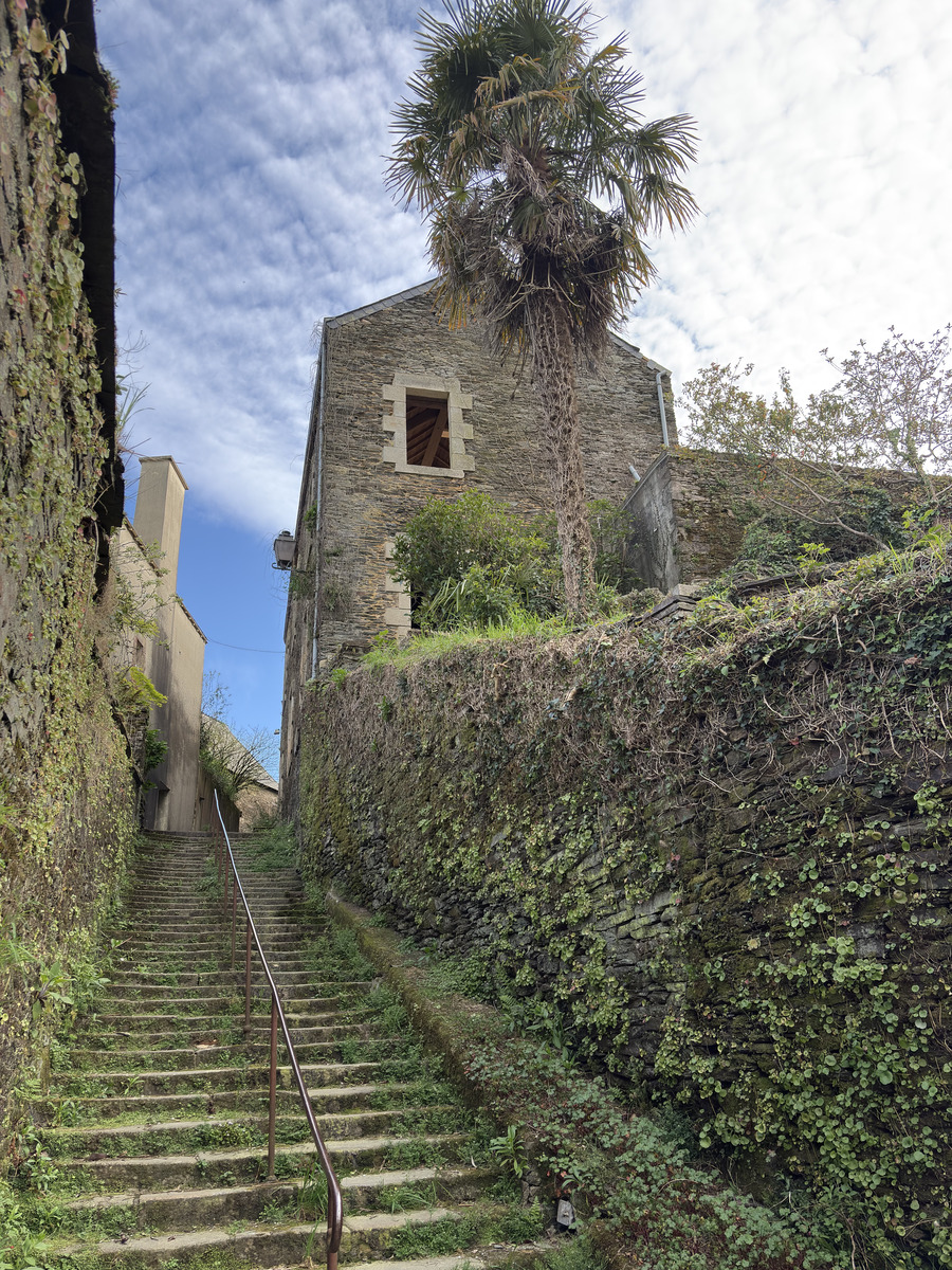 Picture France Rochefort en terre 2026-04 53