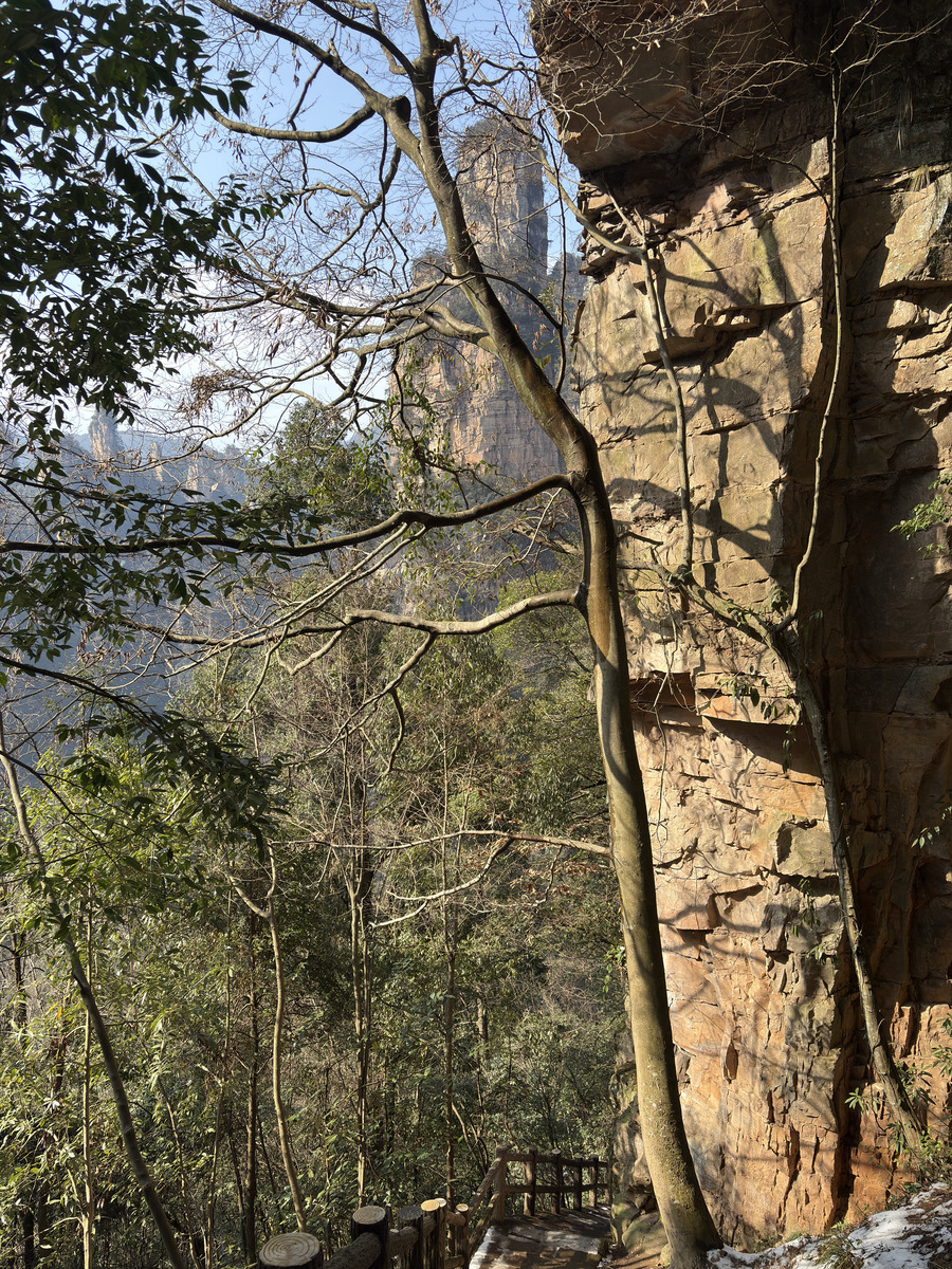Picture China Zhangjiajie Tianzi Mountrain 2026-01 298 - Night Tianzi Mountrain