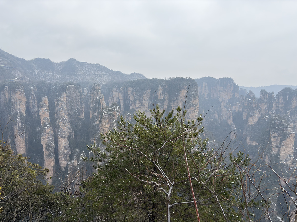 Picture China Zhangjiajie 2026-01 97 - Hotel Zhangjiajie
