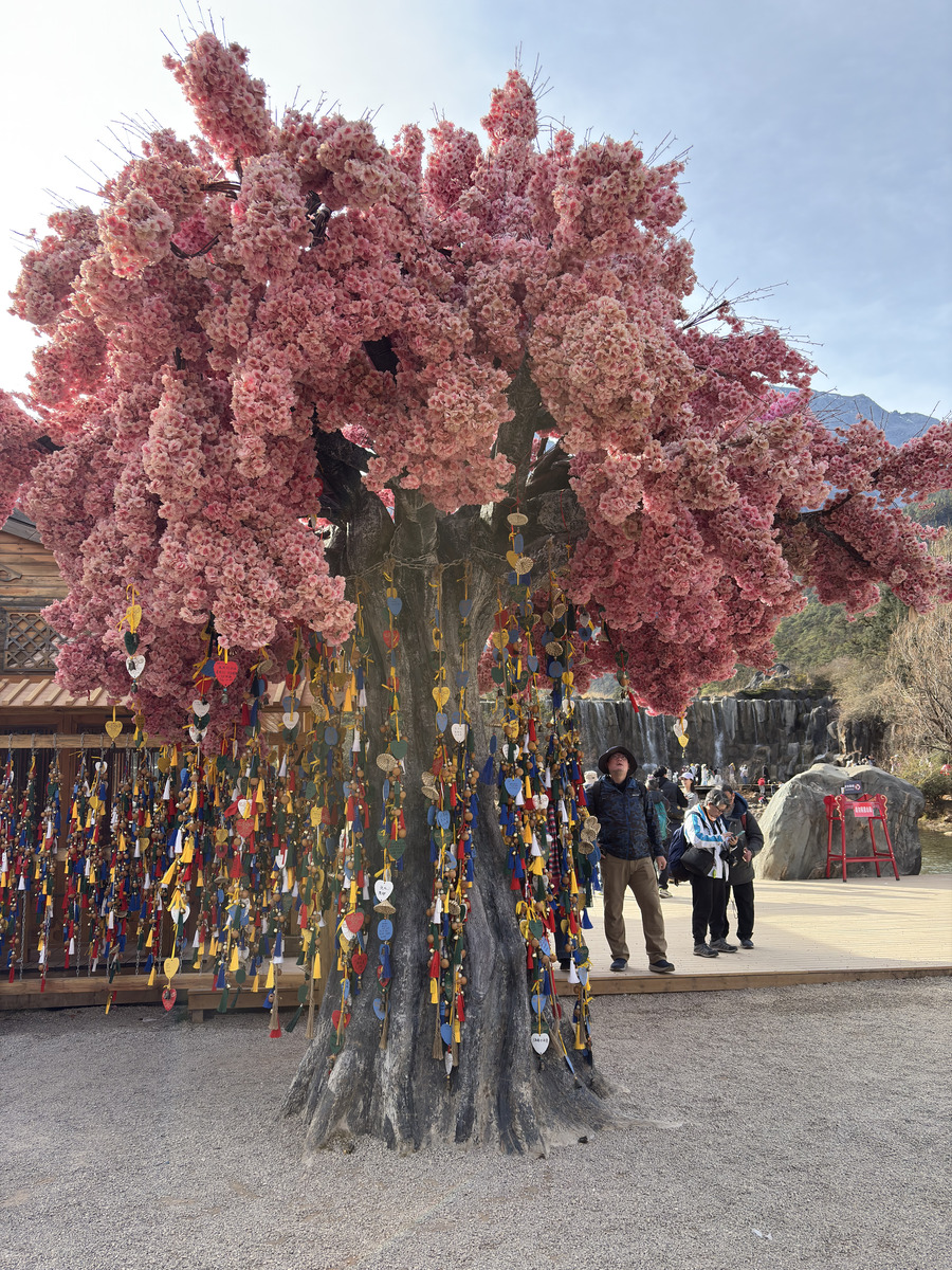 Picture China Lijiang Blue moon valley 2026-01 156 - Walking Street Blue moon valley