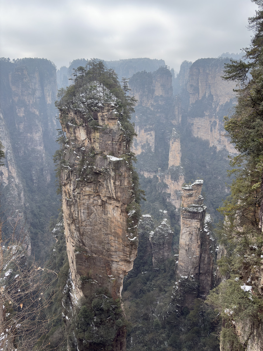 Picture China Zhangjiajie 2026-01 267 - Savings Zhangjiajie
