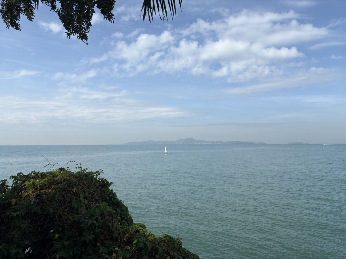Picture Thailand Pattaya 2024-12 50 - City Pattaya