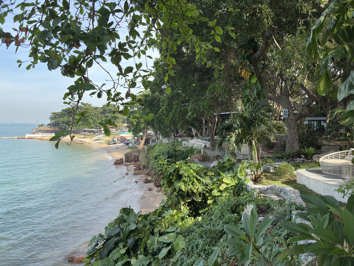 Picture Thailand Pattaya 2024-12 33 - Lakes Pattaya