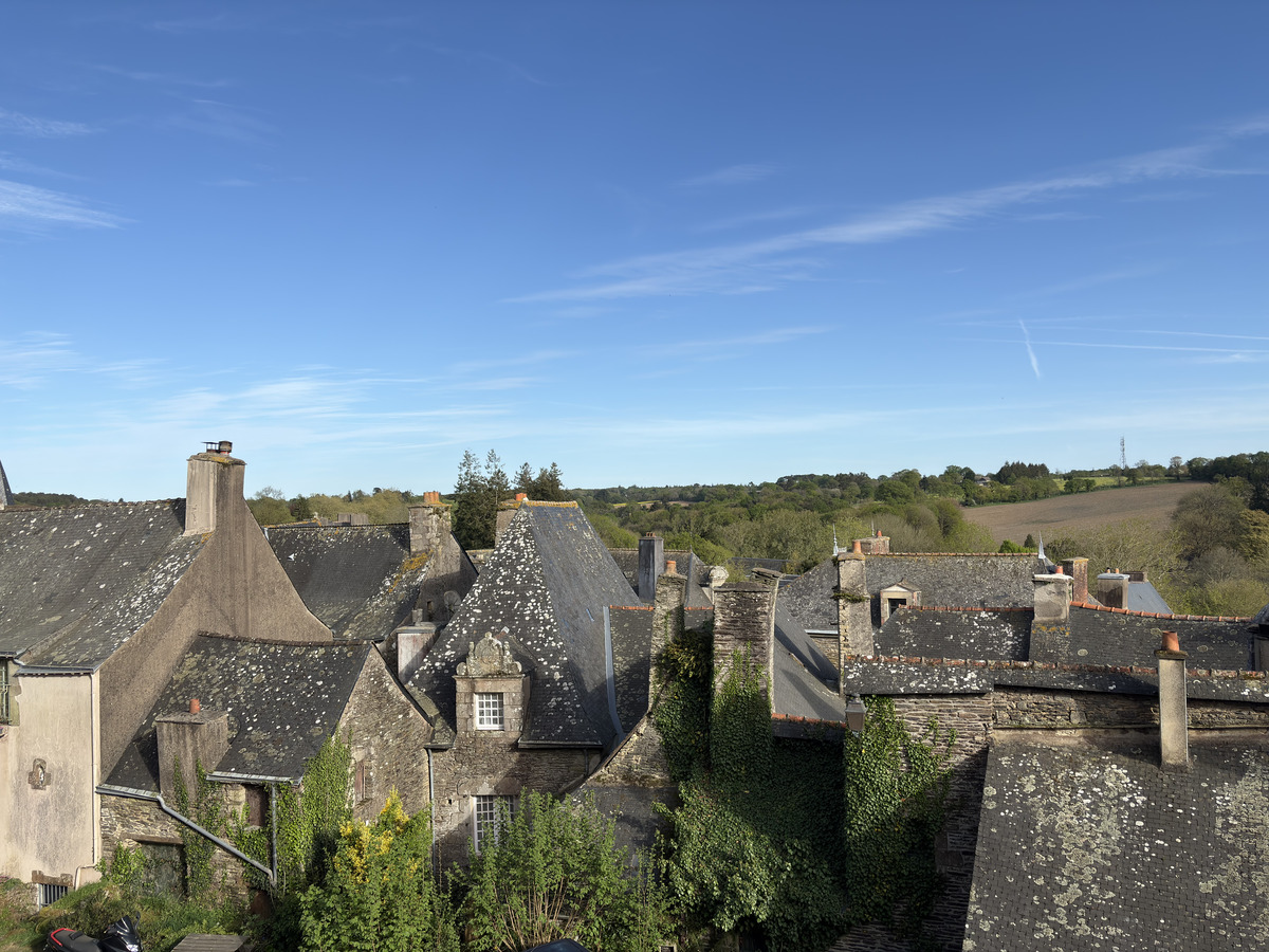 Picture France Rochefort en terre 2026-04 16