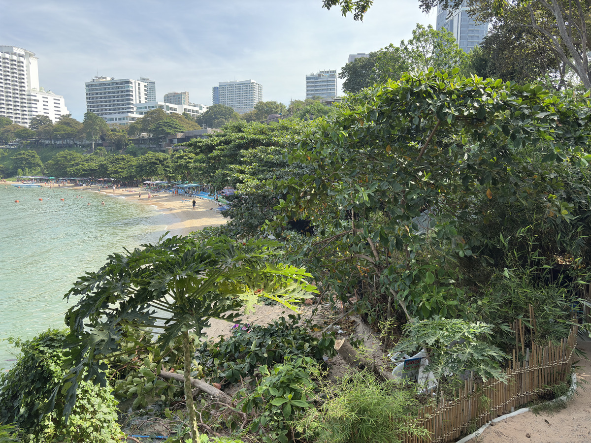Picture Thailand Pattaya Oxygen Restaurant 2024-12 62 - Hotels Oxygen Restaurant