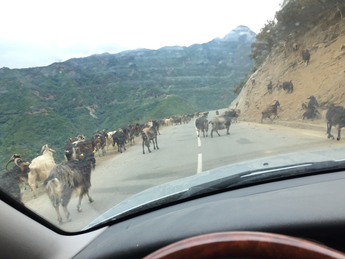 Picture France Corsica Valle d'alesani 2017-07 8