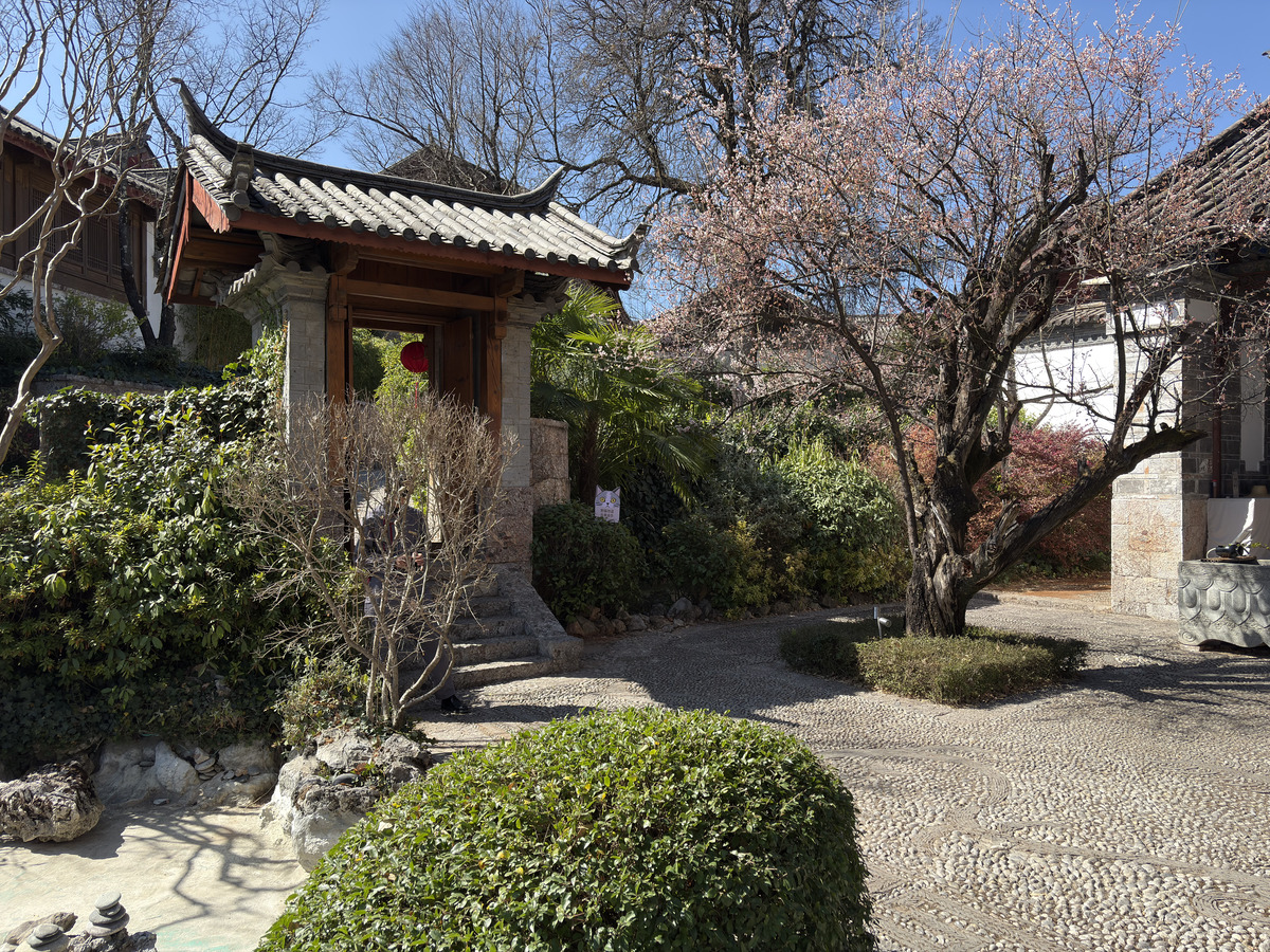 Picture China Lijiang 2026-01 51 - Savings Lijiang