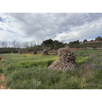 Picture China Shilin Stone Forest 2026-01 40 - To see Shilin Stone Forest