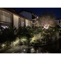 Picture China Lijiang 2026-01 72 - Hot Season Lijiang