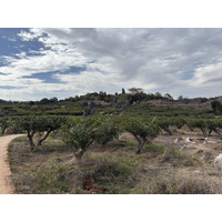 Picture China Shilin Stone Forest 2026-01 293 - Lands Shilin Stone Forest