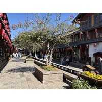 Picture China Lijiang 2026-01 201 - City View Lijiang