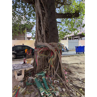 Picture Thailand Pattaya Dongtan beach 2025-12 30 - Saving Dongtan beach