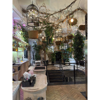 Picture Ukraine Lviv Restaurants 2024-10 119 - Restaurant Restaurants