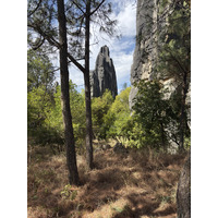 Picture China Shilin Stone Forest 2026-01 323 - Saving Shilin Stone Forest