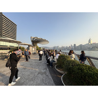 Picture Hong-Kong Tsim Sha Tsui 2026-01 50 - Restaurants Tsim Sha Tsui