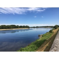 Picture France Montsoreau Castle 2017-08 17