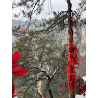 Picture China Zhangjiajie 2026-01 272 - To see Zhangjiajie