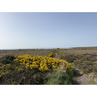 Picture France Crozon Cap de la Chevre 2026-04 9 - Spring Cap de la Chevre