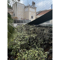Picture Vietnam Saigon Continental Hotel 2024-01 7 - City View Continental Hotel