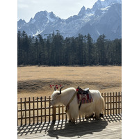 Picture China Lijiang Blue moon valley 2026-01 132 - Weather Blue moon valley