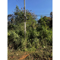 Picture Thailand Ban Wana Luang 2024-01 22 - Hotel Pools Ban Wana Luang