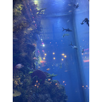 Picture Ukraine Lviv Restaurants 2024-10 70 - Hotel Pools Restaurants