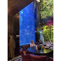 Picture Ukraine Lviv Restaurants 2024-10 110 - Sauna Restaurants