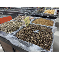 Picture China Wulingyuan 2026-01 81 - Winter Wulingyuan