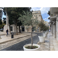Picture Italy Trani 2024-09 116 - Winter Trani