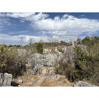 Picture China Shilin Stone Forest 2026-01 237 - Savings Shilin Stone Forest