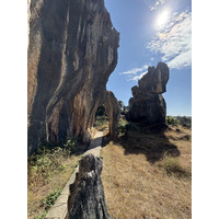 Picture China Shilin Stone Forest 2026-01 302 - Saving Shilin Stone Forest