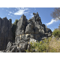 Picture China Shilin Stone Forest 2026-01 143 - Spring Shilin Stone Forest