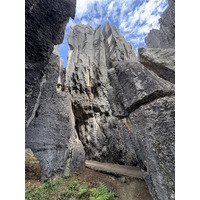 Picture China Shilin Stone Forest 2026-01 257 - City Sight Shilin Stone Forest