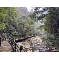 Picture China Zhangjiajie Grand Canion 2026-01 13 - Walking Street Grand Canion