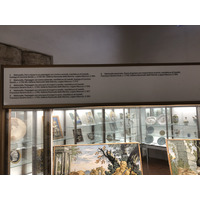Picture Italy Urbino 2024-09 21 - City Sight Urbino