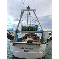 Picture Italy Trani 2024-09 120 - Rentals Trani