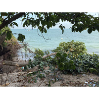 Picture Thailand Pattaya Oxygen Restaurant 2024-12 5 - Resort Oxygen Restaurant