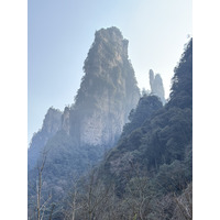 Picture China Zhangjiajie Tianzi Mountrain 2026-01 148 - Lands Tianzi Mountrain