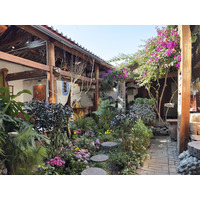 Picture China Lijiang 2026-01 300 - Saving Lijiang