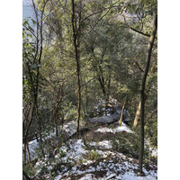 Picture China Zhangjiajie Tianzi Mountrain 2026-01 50 - Sunrise Tianzi Mountrain