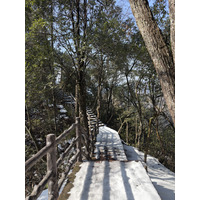 Picture China Zhangjiajie Tianzi Mountrain 2026-01 333 - Sunrise Tianzi Mountrain