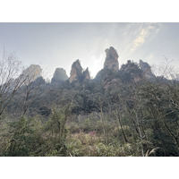 Picture China Zhangjiajie Tianzi Mountrain 2026-01 97 - Hotels Tianzi Mountrain